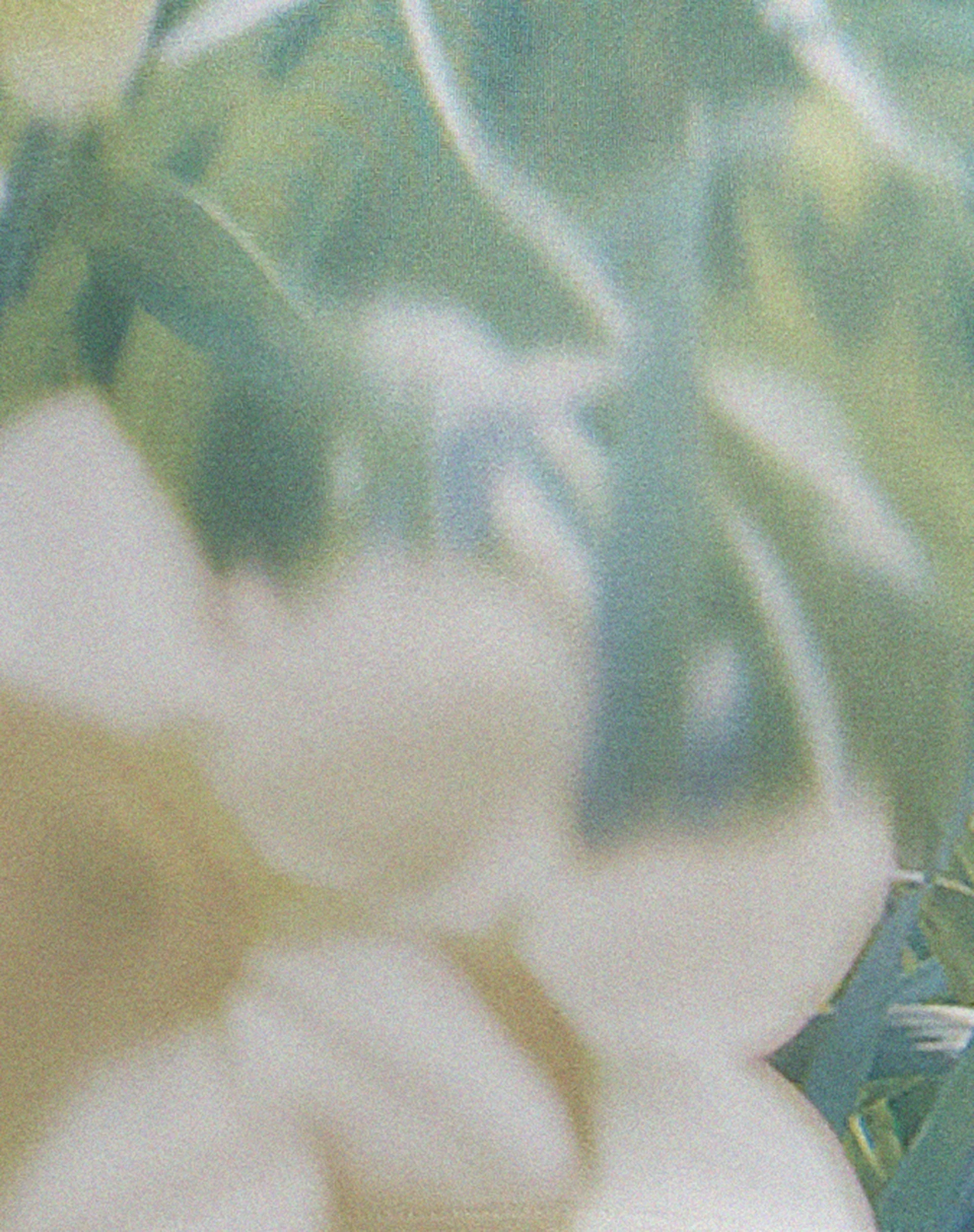 Saleh Minikleid in Digi Flower - Image 6