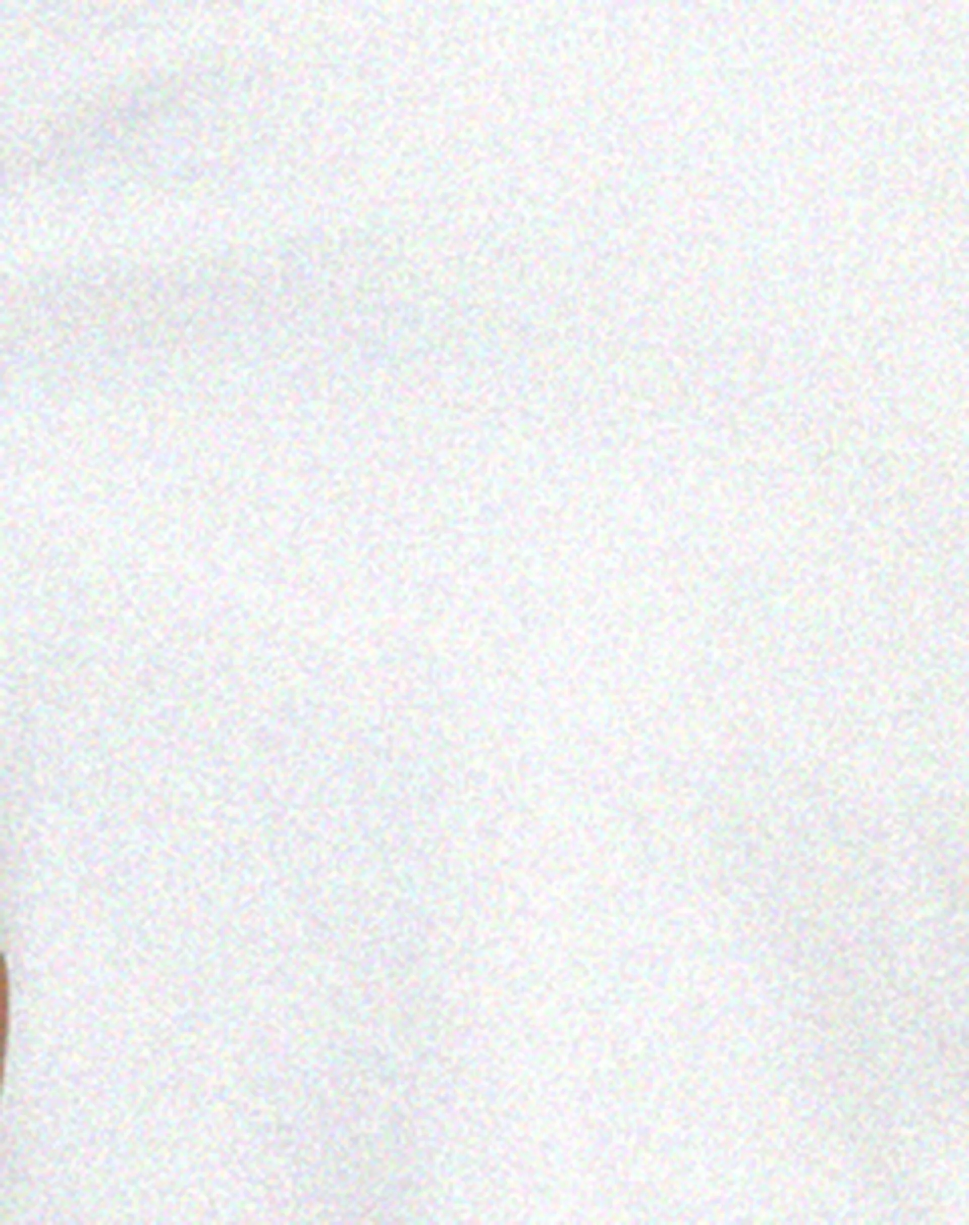 Shima Crop Top in Weiß - Image 6