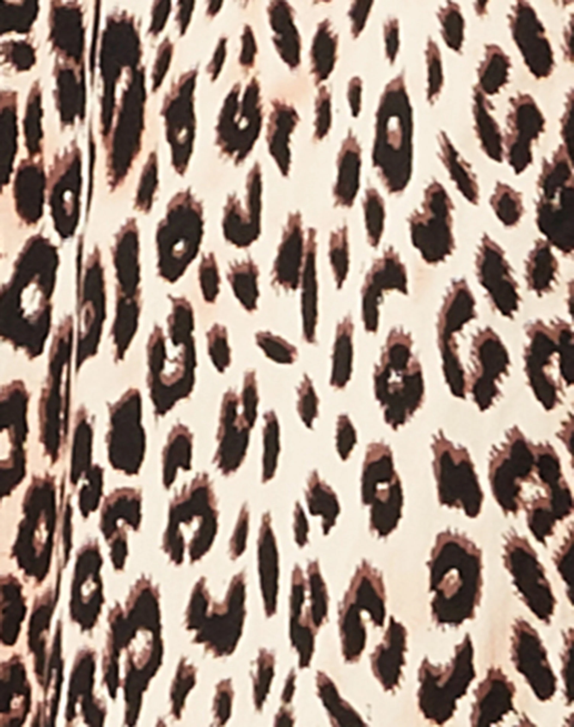 Smith Kurzarmhemd in True Leopard - Image 6