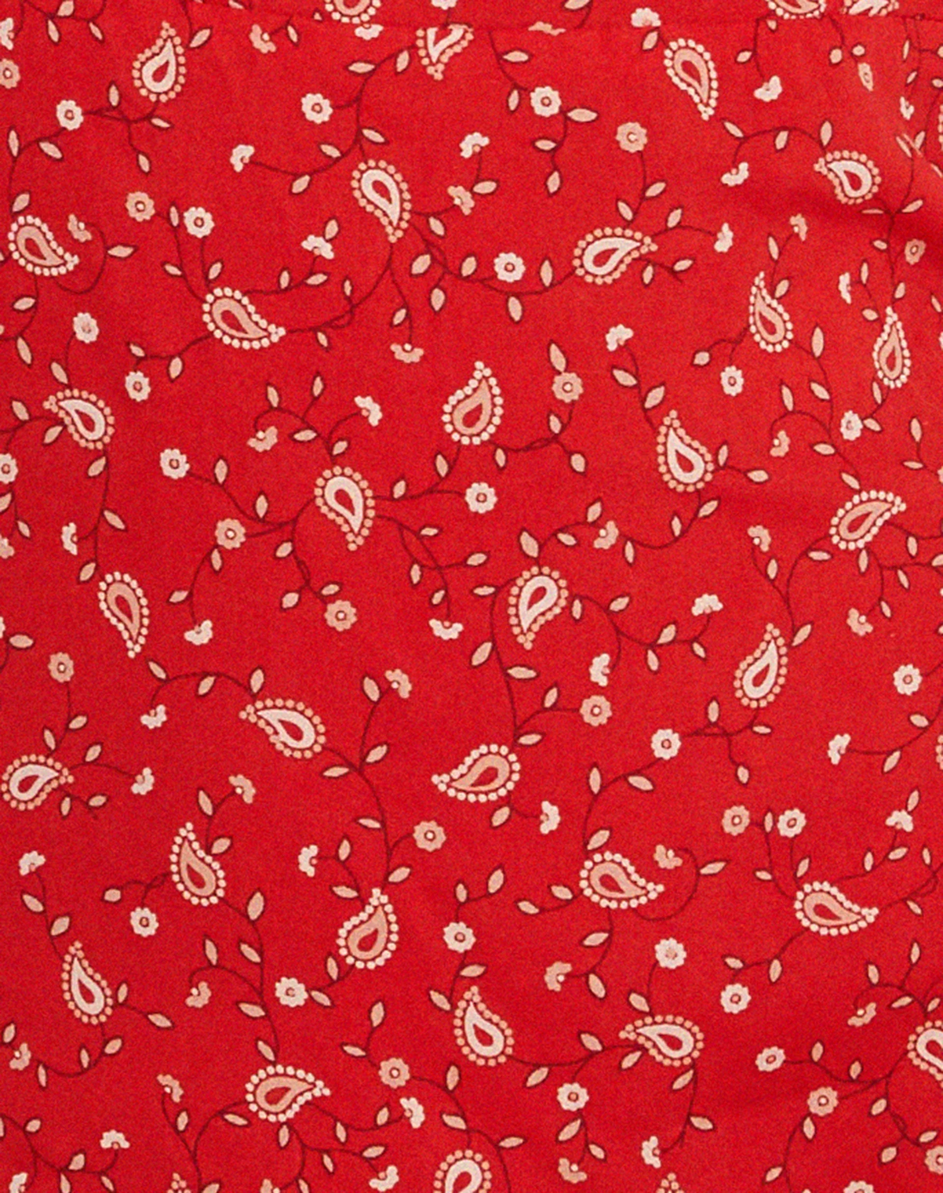 Stoira Minikleid aus Paisley Fun Rot - Image 7
