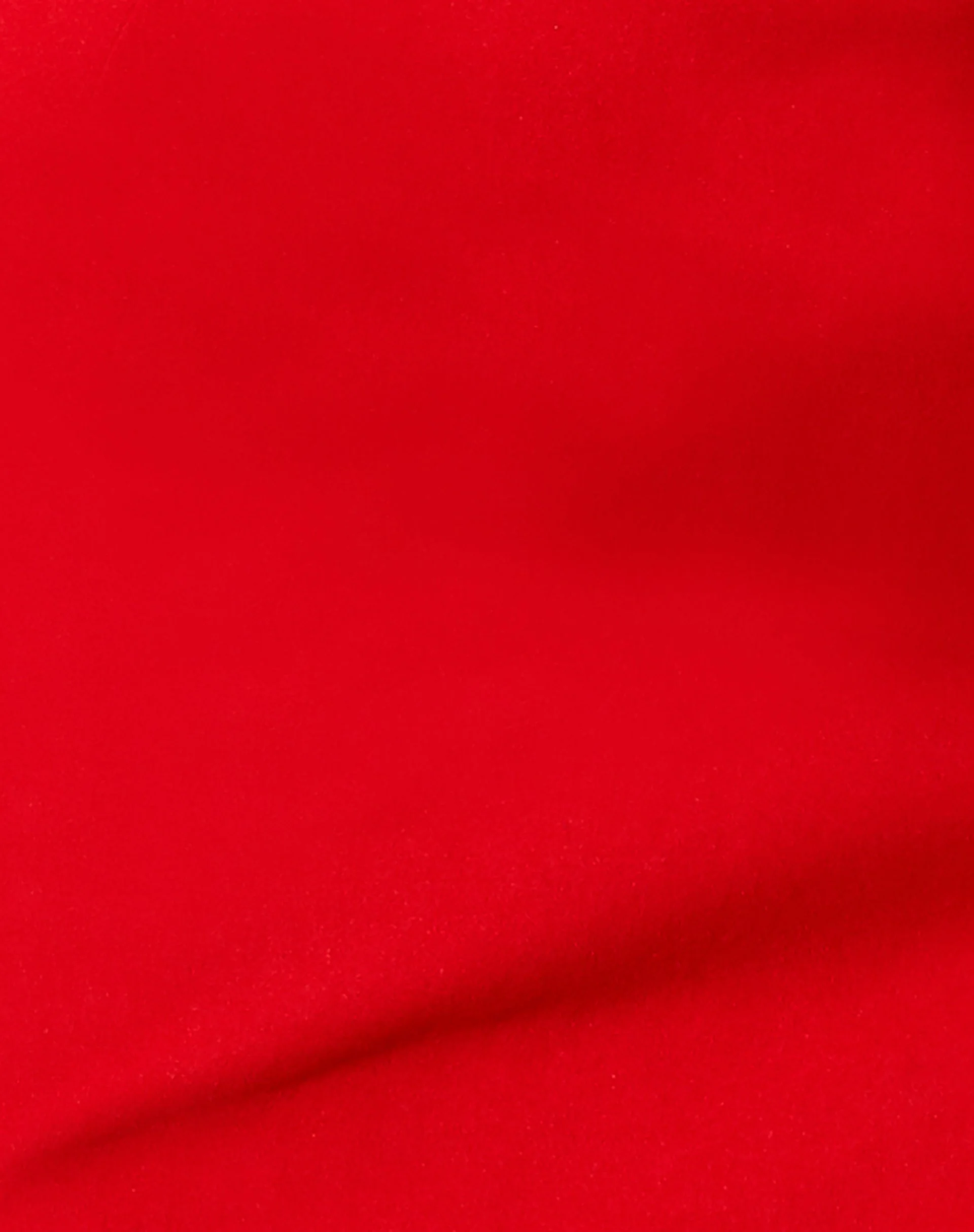 Taina Crop Top in Tailoring Rot - Image 7