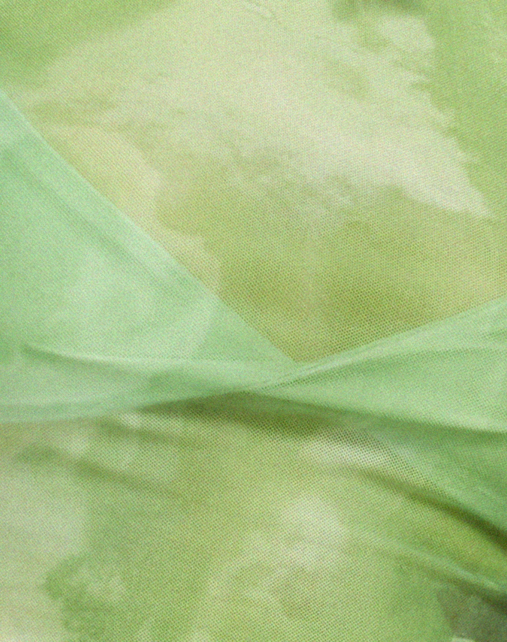 Tiney Crop Top in Aquarellgrün - Image 7