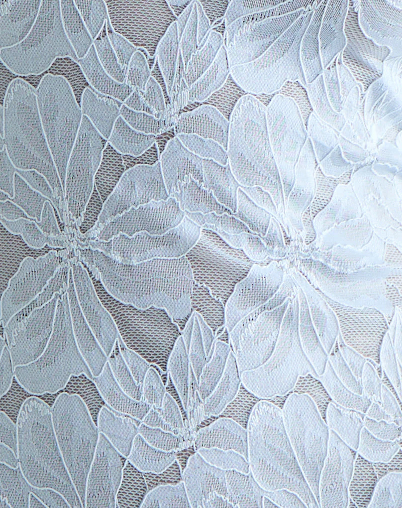 Titania Minikleid mit Kragen aus Zinnia-Spitze Blau - Image 6