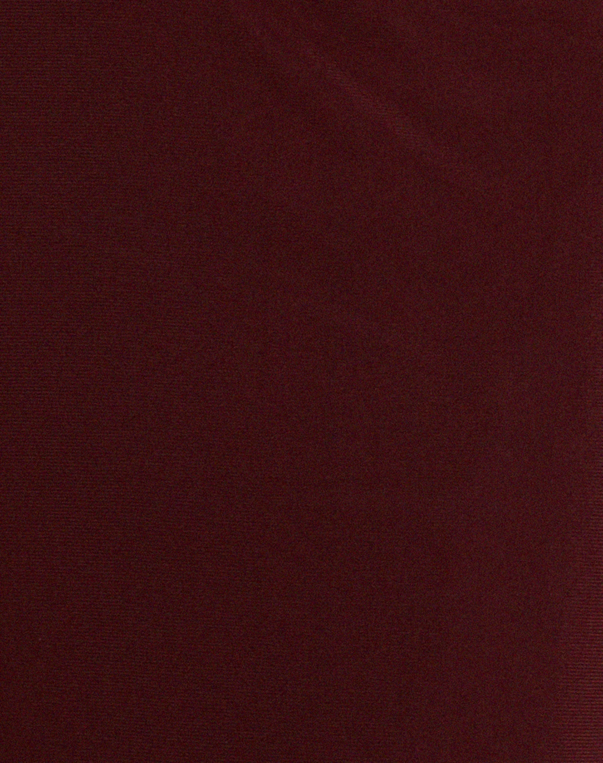 Tresha Maxirock aus Mesh Burgundy - Image 5