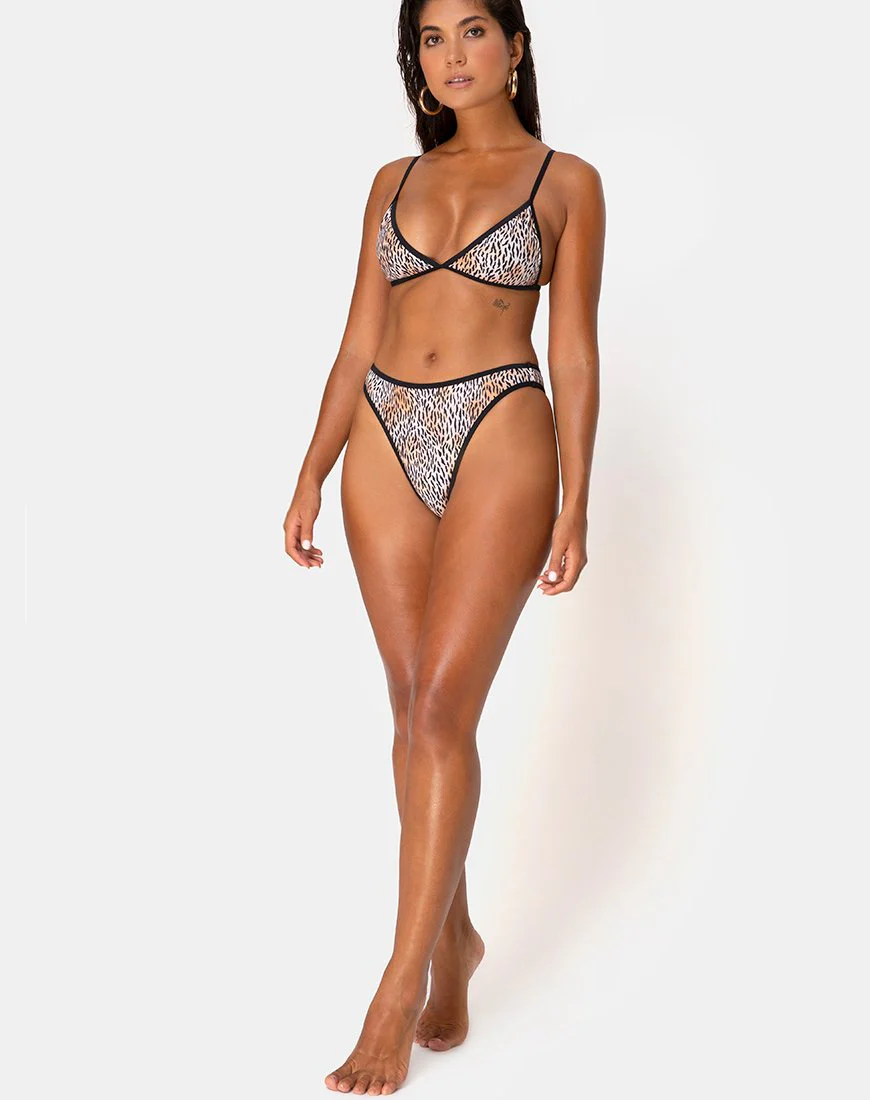 Varna Bikiniunterteil in Mini Tiger mit schwarzen Bändern
