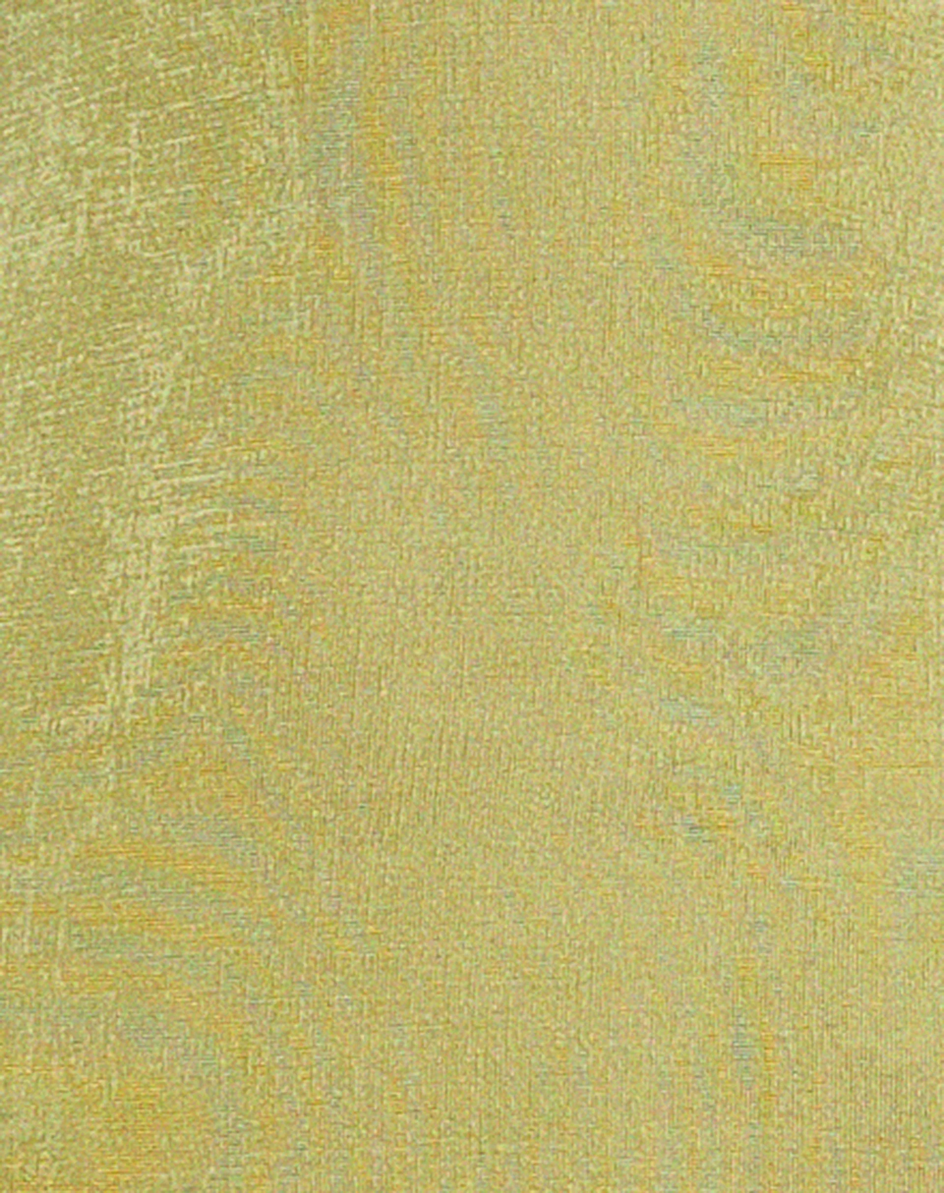 Virnilia Maxikleid mit Rollkragen in Limette - Image 5
