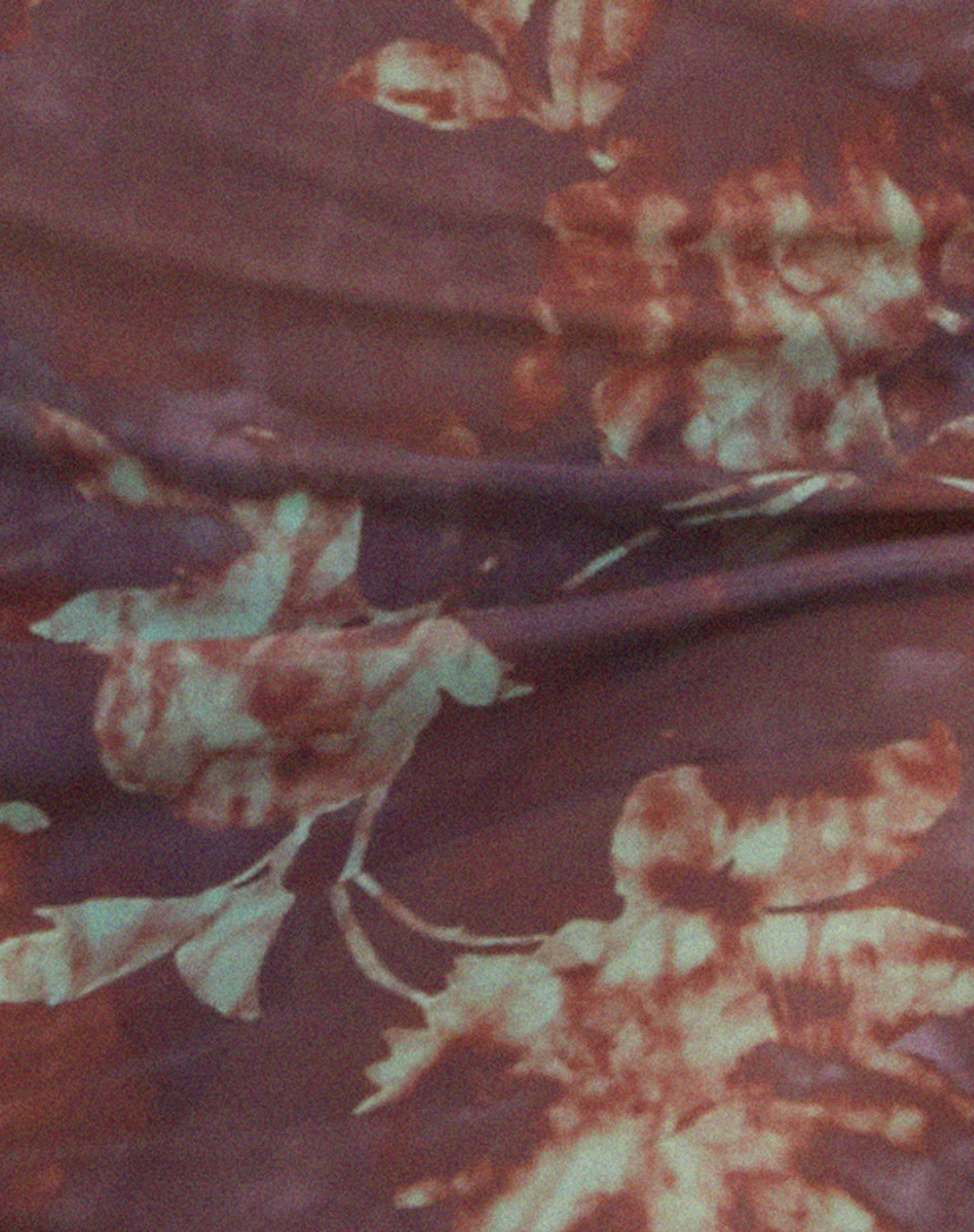 Zemira Langarm-Top in Botanical Animal Brown - Image 8