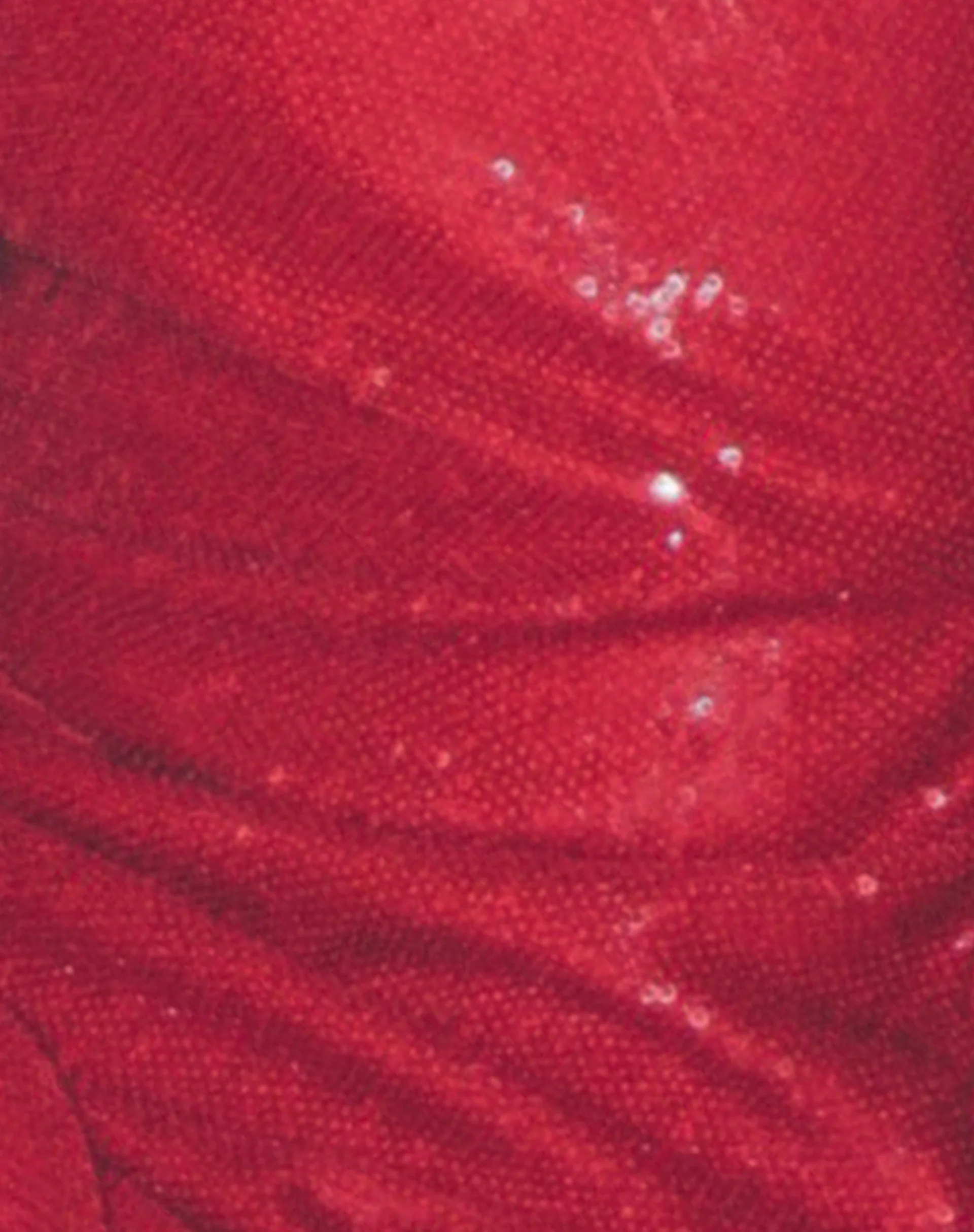 Zerla Ärmelloses Minikleid aus Pailletten Rot - Image 7